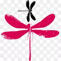 昆虫图解-蜻蜓-空若网 昆虫图解-蜻蜓-空若网