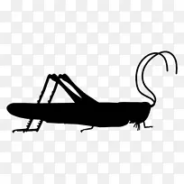 昆虫蝗虫图标-剪影蚱蜢-空若网 昆虫蝗虫图标-剪影蚱蜢-空若网