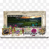 博客教程WordPress.com-空若网 博客教程WordPress.com-空若网