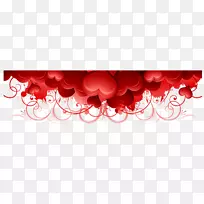 ֽ���˽�-��������-������