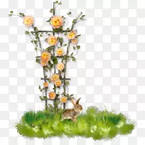 �л�������ƻ��ܻ������ܻ�԰��-������