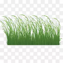 ²ÝƬÒÕÊõ-¿ÕÈôÍø ²ÝƬÒÕÊõ-¿ÕÈôÍø