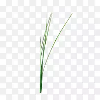 Ò¶½Ç×ÖÐÍ-¿ÕÈôÍø Ò¶½Ç×ÖÐÍ-¿ÕÈôÍø