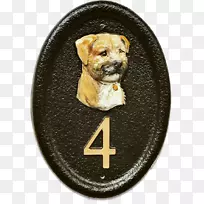 边境猎犬小狗犬种犬科鼻子绿色手绘边框-空若网 边境猎犬小狗犬种犬科鼻子绿色手绘边框-空若网