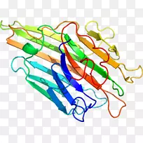 ֱ�ߵ������������-�ݲݸ˾�-������