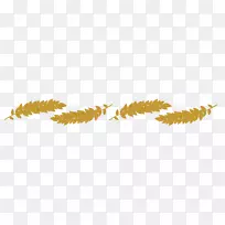 �����ֽ��������ȫ����-������