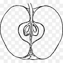 ƻ��ˮ��������-������