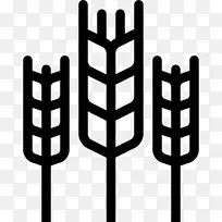 阿凡提食品饮料墨西哥料理意大利面餐厅-小米-空若网 阿凡提食品饮料墨西哥料理意大利面餐厅-小米-空若网