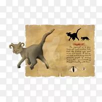 ����ʳ�⶯��Ұ�����ﻭ��è-������