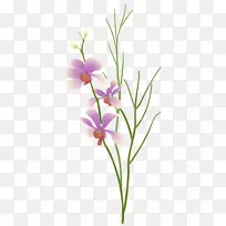切花花卉设计植物花卉.紫色兰花-空若网 切花花卉设计植物花卉.紫色兰花-空若网