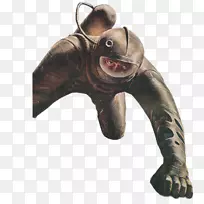 动物鼻子食肉-宇航员-空若网 动物鼻子食肉-宇航员-空若网