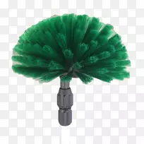 ����ɫ����-������