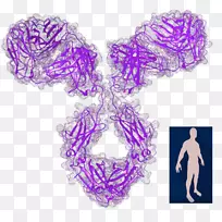薰衣草紫丁香紫色字体-创意传记-空若网 薰衣草紫丁香紫色字体-创意传记-空若网