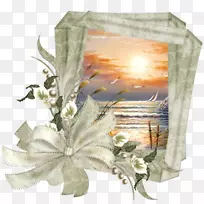 ��������-Mata Ki��Ƭ-������