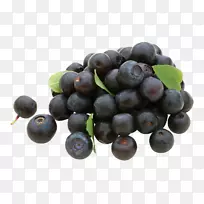 À¶Ý®ÆÏÌѹûƤ²©Ë¹¿ÆÔ½éÙ-À¶Ý®ÕÕÆ¬-¿ÕÈôÍø À¶Ý®ÆÏÌѹûƤ²©Ë¹¿ÆÔ½éÙ-À¶Ý®ÕÕÆ¬-¿ÕÈôÍø