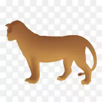 狮子猫狗宝石-空若网 狮子猫狗宝石-空若网