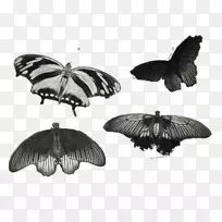 ��������굥ɫ��Ӱ����������Ψ��-������