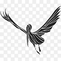 ����ͼ������������-������