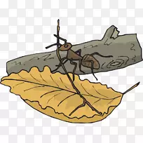 ������Ҷ������-Ҷ���ϵ�����-������