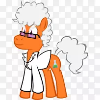 ������װ��ָĴָ������-������