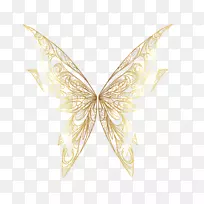蝴蝶昆虫翅蛾动物-金链-空若网 蝴蝶昆虫翅蛾动物-金链-空若网
