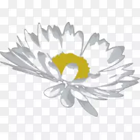 切花花瓣普通雏菊载体-空若网 切花花瓣普通雏菊载体-空若网
