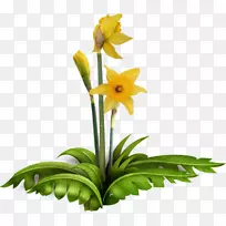 切花玫瑰花坛-空若网 切花玫瑰花坛-空若网