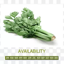 叶菜食品芹菜草本植物-蔬菜批发-空若网 叶菜食品芹菜草本植物-蔬菜批发-空若网