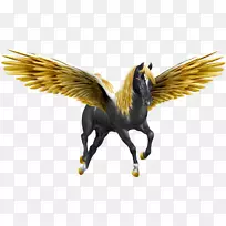 飞马翼独角兽-飞马-空若网 飞马翼独角兽-飞马-空若网