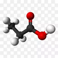 �����ȩ����������ά����-������