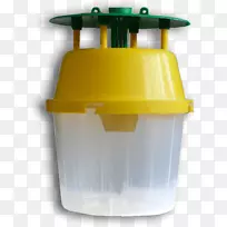 害虫防治-棕榈林-空若网 害虫防治-棕榈林-空若网