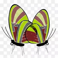 �������������-��ֽЧ��-������