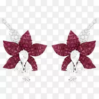 ����van Cleef&Arpels�鱦��ʯ��ʯ-�챦ʯ����-������