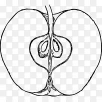 素描艺术水果剪贴画水果拼图-空若网 素描艺术水果剪贴画水果拼图-空若网