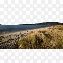 塔斯马尼亚悉尼壁纸-塔斯马尼亚,澳大利亚-空若网 塔斯马尼亚悉尼壁纸-塔斯马尼亚,澳大利亚-空若网