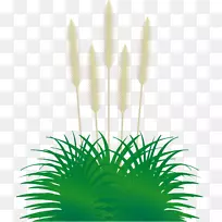 ÅîÅÁ˹²Ý¹ÛÉͲݼÐÒÕÊõÇﻨ-¿ÕÈôÍø ÅîÅÁ˹²Ý¹ÛÉͲݼÐÒÕÊõÇﻨ-¿ÕÈôÍø