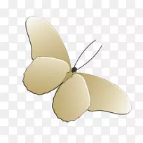 蝴蝶昆虫传粉动物-空若网 蝴蝶昆虫传粉动物-空若网