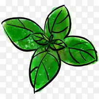 薄荷绘制薄荷叶-空若网 薄荷绘制薄荷叶-空若网