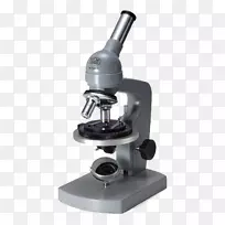 ���о�Ҷ����-��ɫ��΢��-������