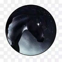 鼻子紫-尊贵-空若网 鼻子紫-尊贵-空若网