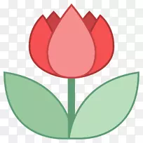 开花植物郁金香花瓣百合科-近距离载体-空若网 开花植物郁金香花瓣百合科-近距离载体-空若网