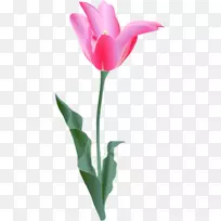 ���������ؼ�������-������-������