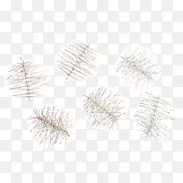 树枝松枝科-圣诞松针图片材料-空若网 树枝松枝科-圣诞松针图片材料-空若网