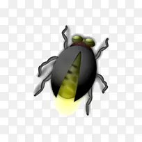 昆虫萤火虫夹艺术萤火虫-空若网 昆虫萤火虫夹艺术萤火虫-空若网