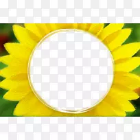向日葵-向日葵边界-空若网 向日葵-向日葵边界-空若网