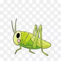 昆虫画蟋蟀-大型蝗虫-空若网 昆虫画蟋蟀-大型蝗虫-空若网