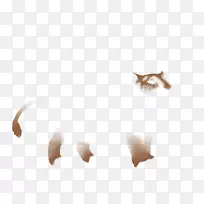 特写生物尾耳污迹-空若网 特写生物尾耳污迹-空若网