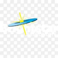 飞机机翼昆虫飞行-明亮的星星-空若网 飞机机翼昆虫飞行-明亮的星星-空若网