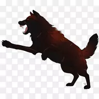 Ȯ��������Ȯ�ơ�����-����-������