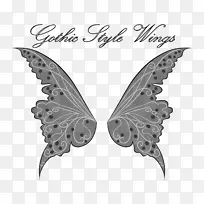 蝴蝶昆虫单色摄影蛾翅式-空若网 蝴蝶昆虫单色摄影蛾翅式-空若网